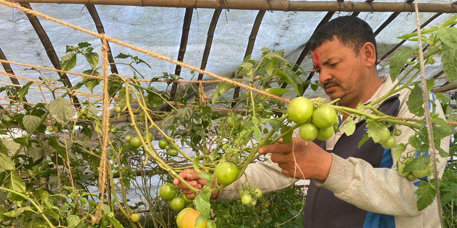बेलायतबाट फर्केर उद्यममा रमाउँदै गलकोटका भण्डारी