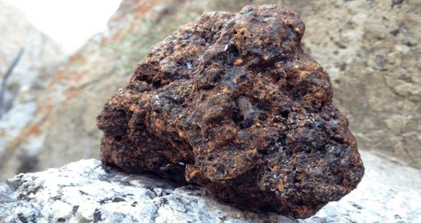 बिमानस्थलको कार्गो कम्प्लेक्सबाट ३ केजी सिलाजितसहित पक्राउ