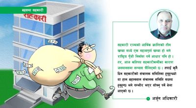 सहकारीभित्रको सफेद ठगी