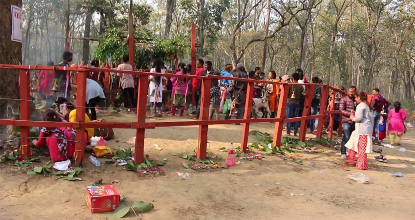 दुई वर्षदेखि हुन नसकेको विक्रमबाबा मेला आज देखि सुरु