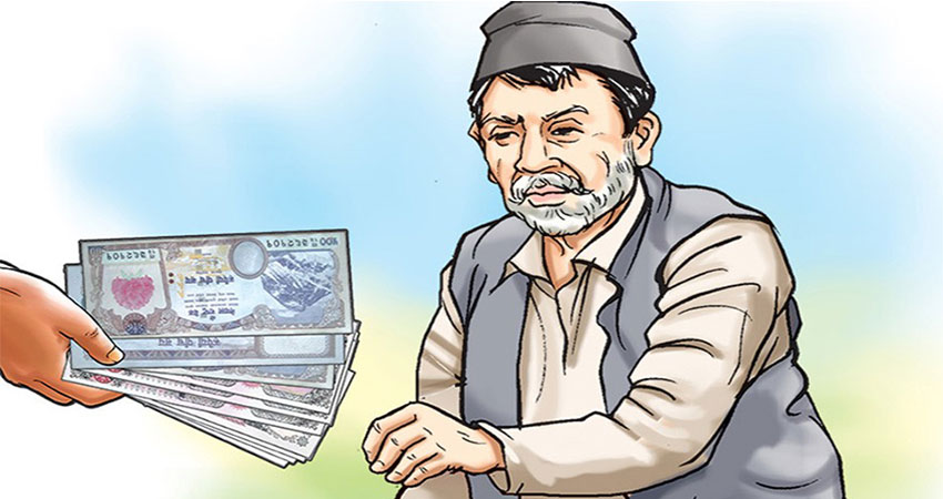 जीवन जिउने आधार वृद्धभत्ता, बैंकबाट वितरण गर्न थालेपछि वृद्धवृद्धालाई सास्ती