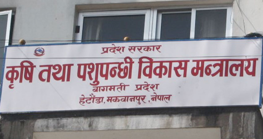 कृषि मन्त्रालयले माग्यो करारमा ६० भन्दा बढी कर्मचारी