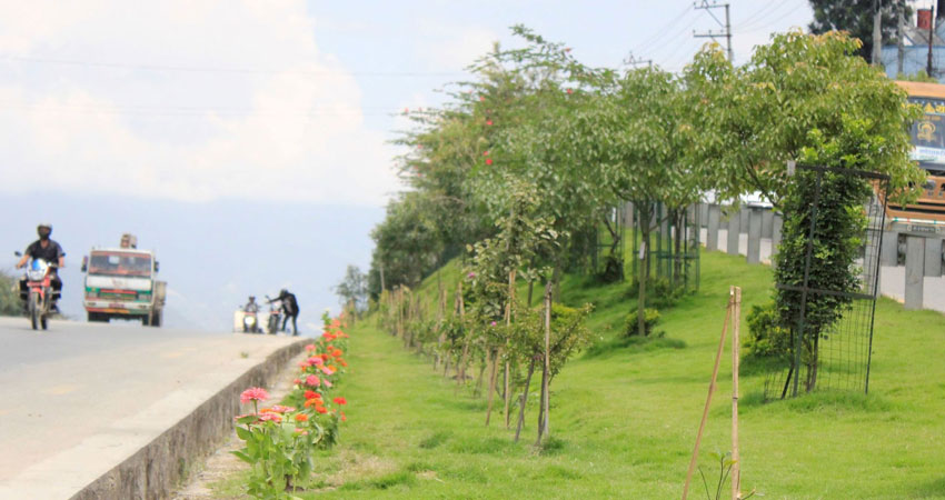 सुन्दर र हरियाली उपत्यका बनाउने अभियानमा लाग्यो एनसेल