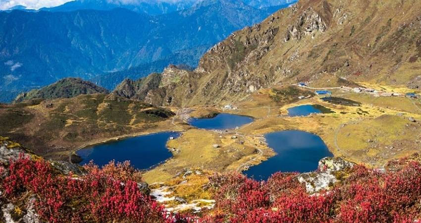 वर्षौँदेखि बाँझो रहेको पाँचपोखरीको जमिनलाई यसरी प्रयोगमा ल्याइयो