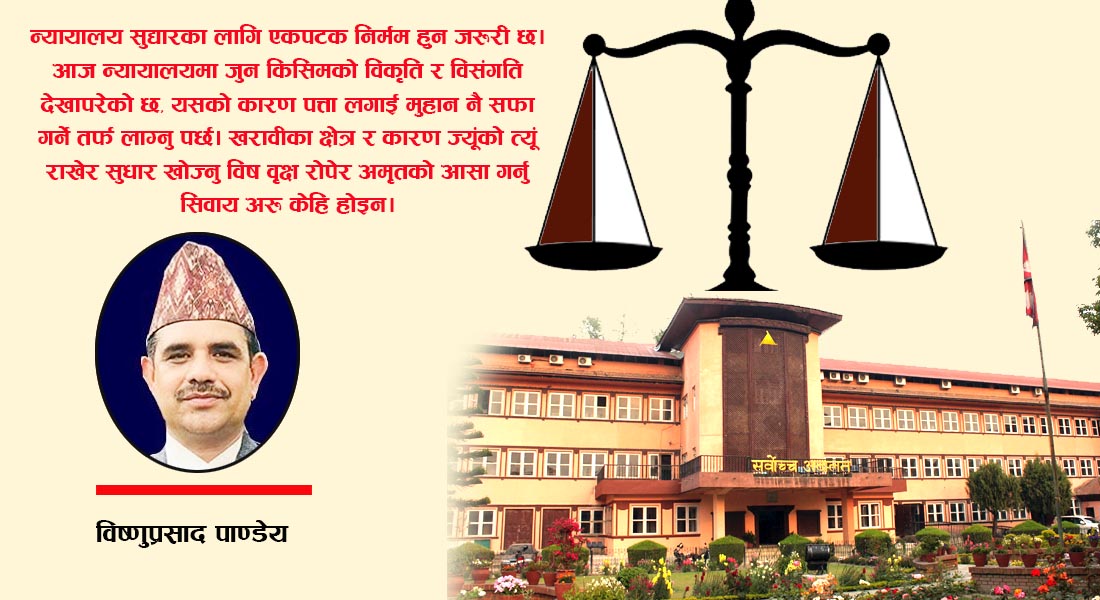 न्यायालय सुधारका लागि के गर्नु पर्ला ?