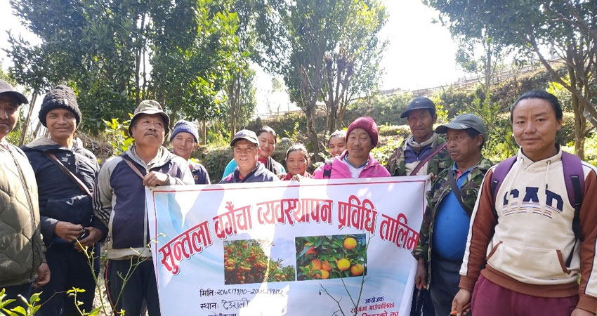 पालिकाद्धारा लक्ष्यसहितको पकेट कार्यक्रम सुरु