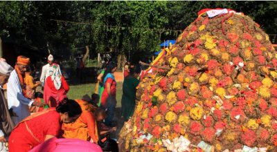 कार्तिक शुक्ल प्रतिपदाः गोरु, गोवर्द्धन र हलि पूजा
