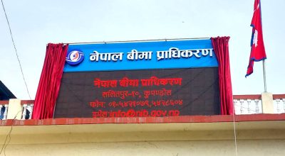 नीर्जिबन बीमा व्यवसायमा बागमती प्रदेशको दबदबा