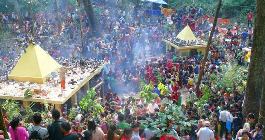 पाल्पामा सुरु भयो चिच्याएर वर माग्ने मेला
