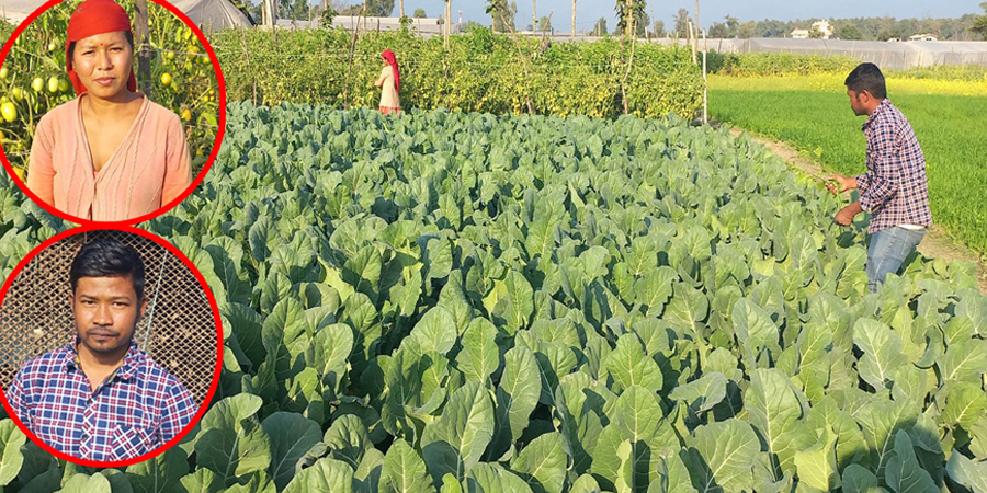 ऋण लिएर कृषिकर्ममा जोडिएका यी जोडी मासीक लाख आम्दानी गर्छन्
