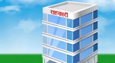 मार्गदर्शन सहकारीको ६ करोड हिनामिनाको आरोपमा केसी पक्राउ