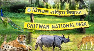 निकुञ्जद्वारा नियमविपरीत काम गर्ने ६५ जनालाई कारबाही