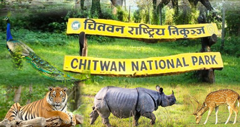 निकुञ्ज घुम्ने बाह्य पर्यटक घटे, आन्तरिक बढे