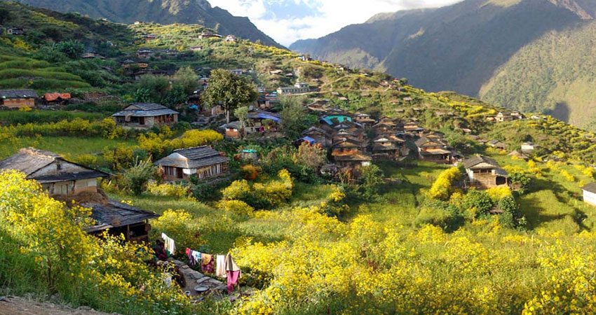 बाँझो जमिनको सदुपयोग गरेर पालिकाद्धारा नै स्थानीयवासीलाई रोजगारी