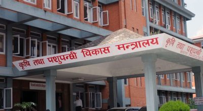 सरकारको एक सय दिन : एक लाख ५० हजार थप किसान सूचीकृत