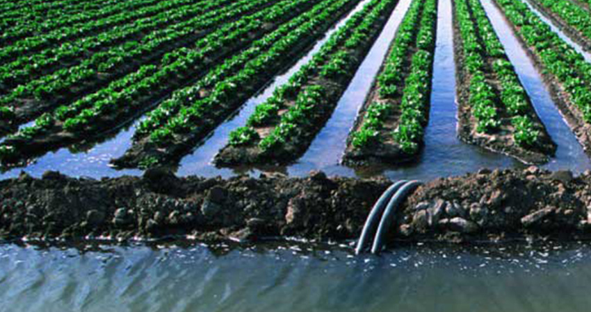 डिभिजन कार्यालयद्वारा सिँचाइ सुविधा विस्तार