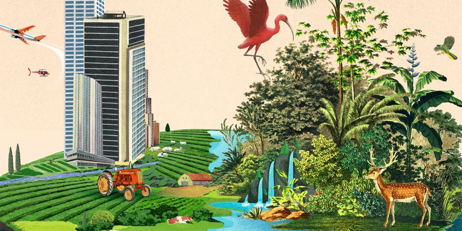 विविध कार्यक्रमका साथ आज जैविक विविधता दिवस मनाइँदै