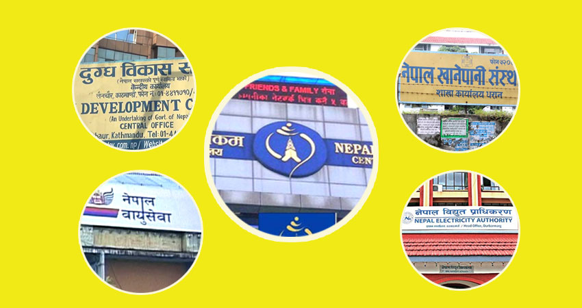 सार्वजनिक संस्थान : २५ नाफामा, १७ घाटामा र दुई वटाको कारोबार शून्य
