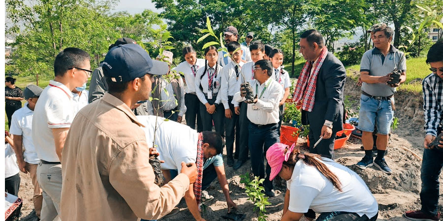 साइमेक्स इंक कम्पनीले १५ सय विरुवा रोप्ने
