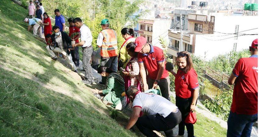 वृक्षारोपण गरेर मनायो ग्लोबल आइएमई बैंकले विश्व वातावरण दिवस
