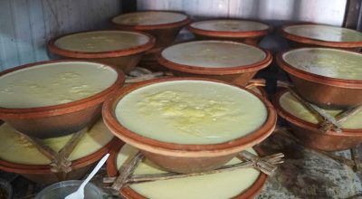असार १५: जुजु धौको माग उच्च