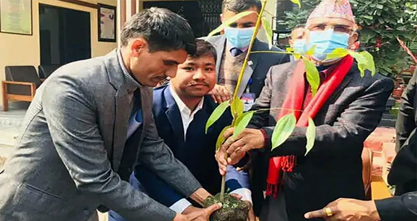पूर्वमहासचिव भण्डारीका जन्मजयन्तीको अवसरमा अध्यक्ष ओलीद्वारा वृक्षरोपण