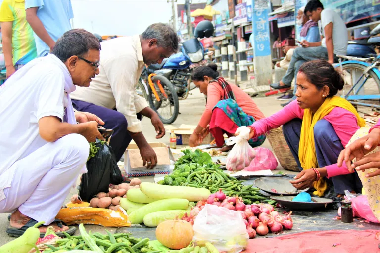 आफ्नै बारीको तरकारी बेचेर दैनिक ३ देखि ५ हजार कमाई गर्ने महिला भन्छन् काम सानो ठुलो हुदैन