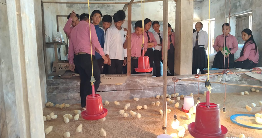विद्यार्थीलाई सीपसँग जोड्दै ‘पढ्दै कमाउँदै’ कार्यक्रम, कार्यक्रमबाट भएको आम्दानीले विद्यार्थीलाई अध्ययनमा टेवा पुग्ने
