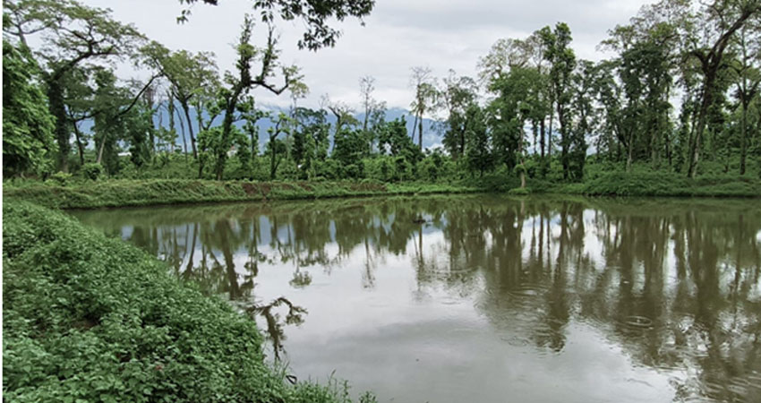 वन्यजन्तुका लागि सामुदायिक वनमा ६ वटा पोखरी निर्माण