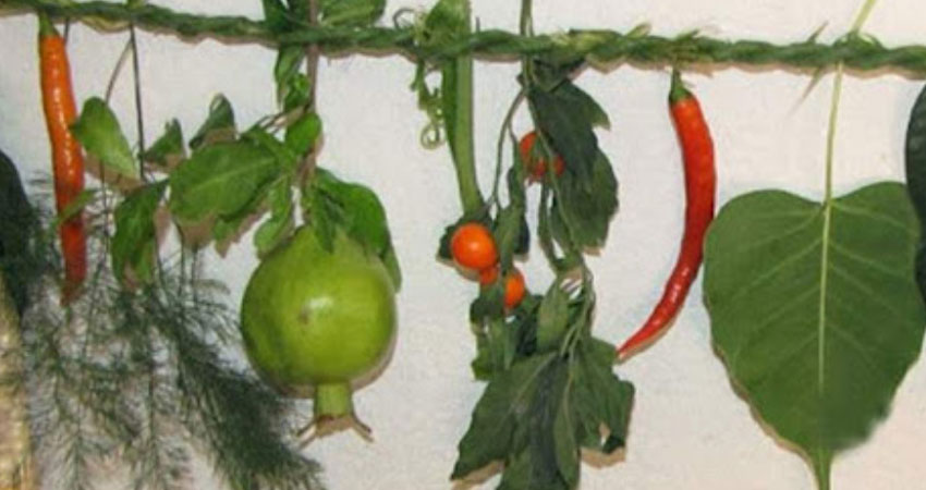 किरात समुदायले आज सिसेक्पा तङ्नाम मनाउँदै