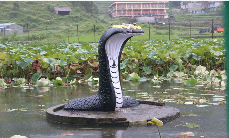 नाग र कमलको फुलले चिनाएको धार्मिक पर्यटकीय गन्तव्य कमलपोखरी