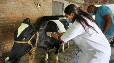 लम्पी स्किनविरुद्धको खोप सस्तो मूल्यमा उपलब्ध गराउन बायोटेक तयार