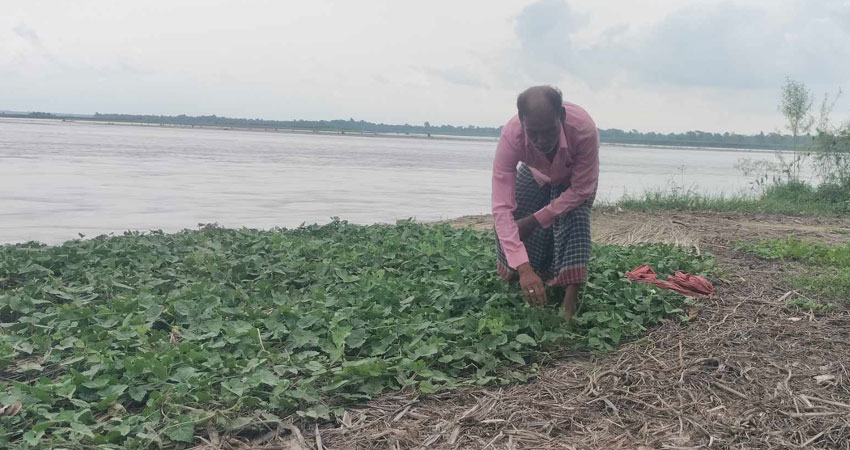 नेपाली गाउँमा भारतीय मण्डलको लोभलाग्दो तरकारी खेती, मनग्य आम्दानी गर्दै