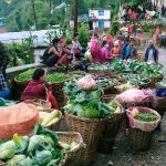 यस्तो छ आजका लागि कृषिउपजको थोक मूल्य यस्तो छ आजका लागि कृषिउपजको थोक मूल्य