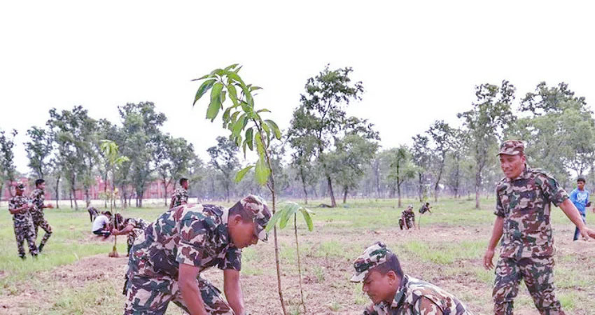 सामुदायिक वनमा नेपाली सेनाले रोपे दुई हजार भन्दा बढी बिरुवा