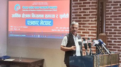 सेयर कर्जामा १२ करोडको सीमा हटाउनु पर्ने पूर्व अर्थमन्त्री पाण्डेको भनाइ