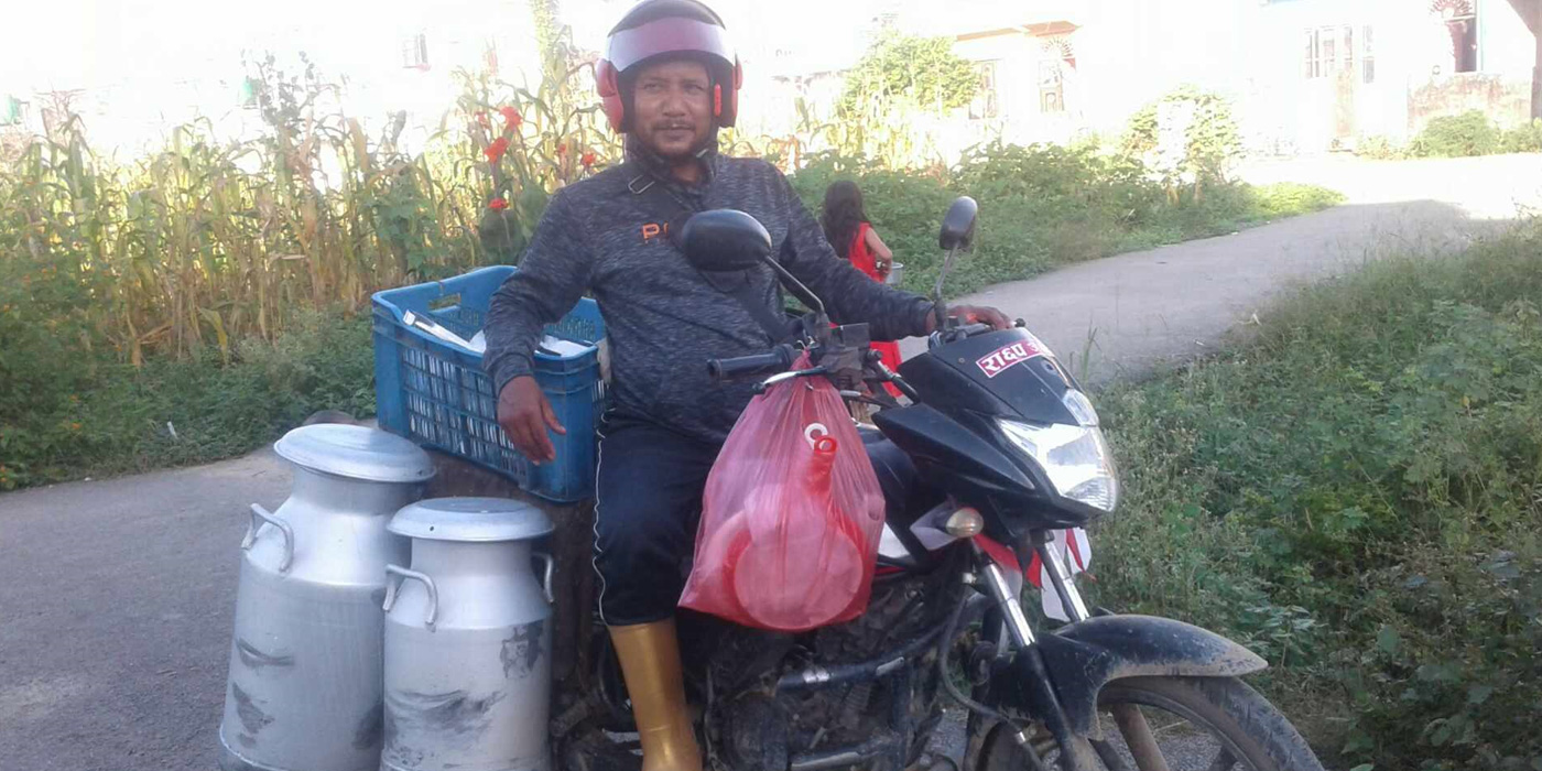 मलेशियाबाट फर्किएर पशुपालनमा लागेका केसी गर्छन् मासिक रु दुई लाख आम्दानी