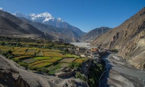 तीन वर्ष यता हिउँ पर्ने याममा हिउँ नपर्दा …