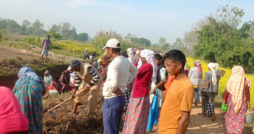 खेतमा पानीको अभाव भएपछि एक हजार किसान आफैँ जुटे नहर सफा गर्न