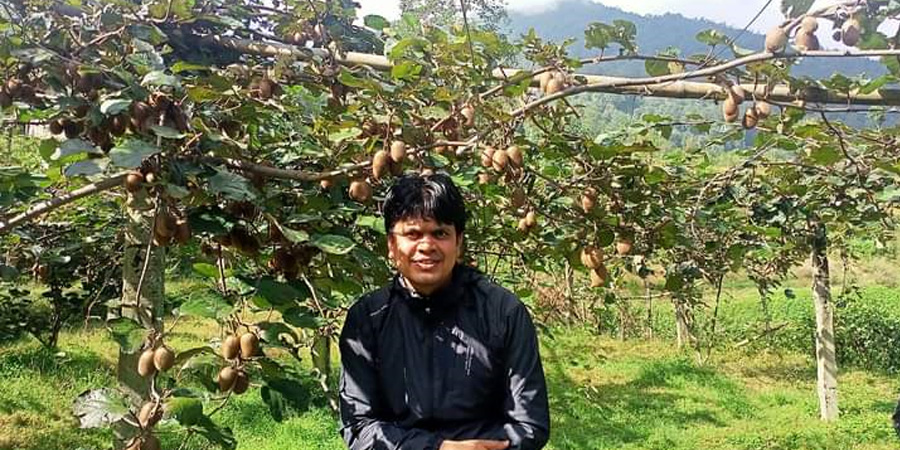 इन्जिनियर कँडलले उत्पादन गरेको किबी चितवन र काठमाडौंका बजारमा