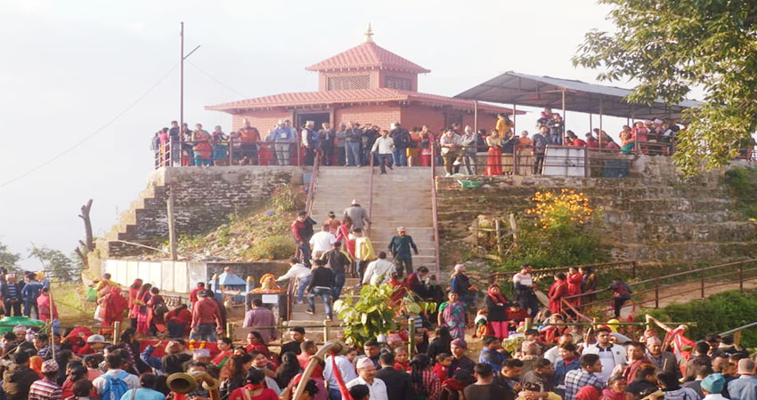 थानीमाई मन्दिरमा दुई सय डोली फूल भित्रिए