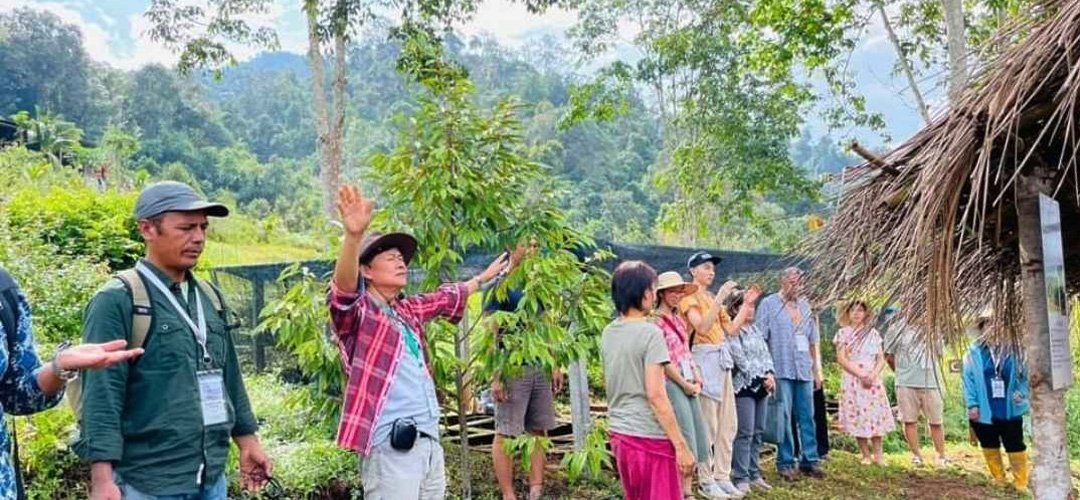 प्राङ्गारिक उत्पादन अध्ययनको केन्द्र बन्दै  तनहुँको होलीग्रिन