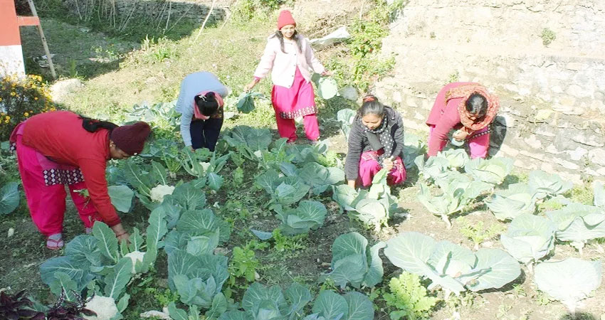 विद्यालय परिसरमा करेसाबारी बनाएर दिवा खाजा