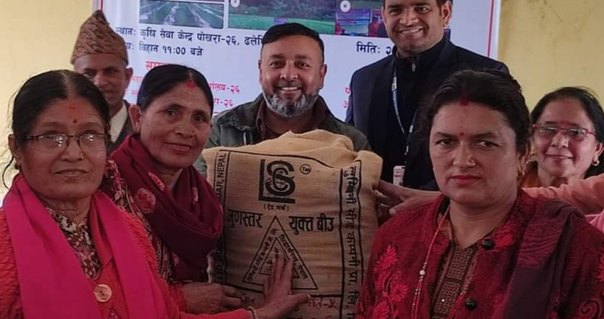 पोखरा महानगरको ‘एक वडा, एक पकेट’ कार्यक्रम, चैते धानको प्रवद्वनमा जोड