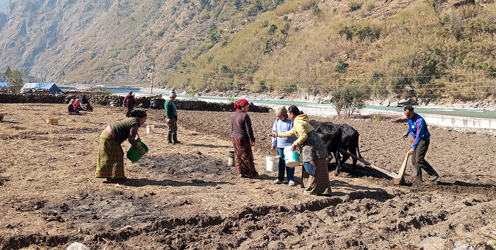 मनाङका महिला सामूहिक खेतीबाट आत्मनिर्भर बन्दै