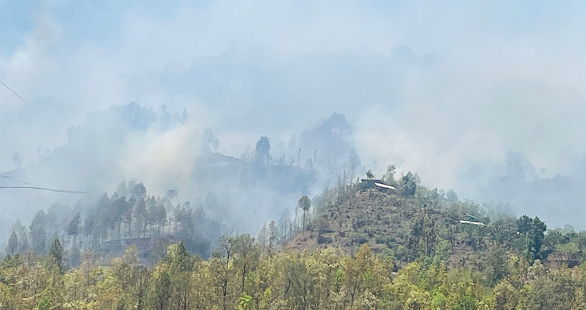 चुरे पहाडका वनमा डढेलो