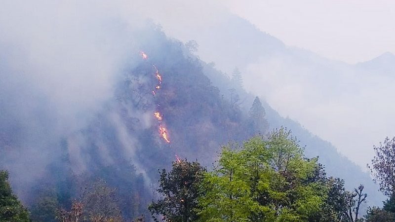 सुदूरपश्चिमको पन्ध्र प्रतिशत वन क्षेत्रमा डढेलो, चुरेमा नियन्त्रण चुनौतीपूर्ण