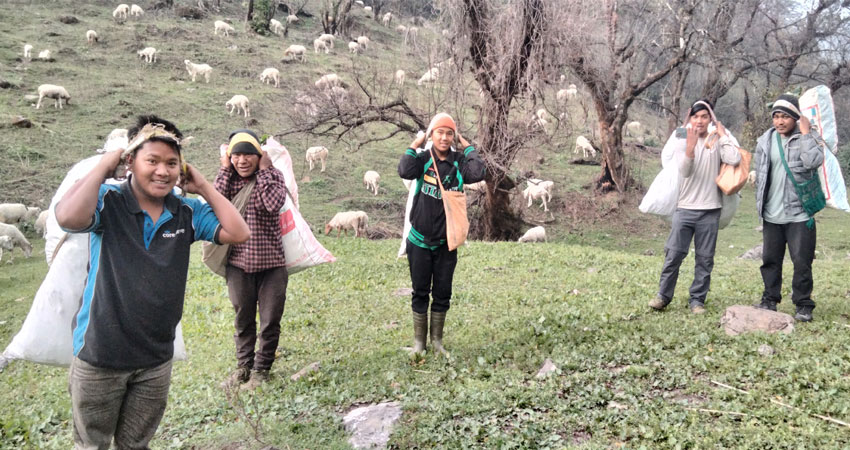 उपहारका रुपमा विदेशमा पठाईने ढकायो टिप्न स्थानीयलाई चटारो