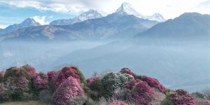 सुनसान अन्नपूर्ण पदमार्गमा पर्यटकको चहलपहल बढ्यो