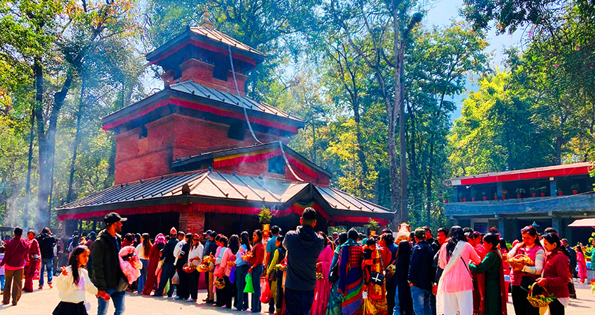 कालिका मन्दिरमा रु ४५ लाखभन्दा बढी भेटी सङ्कलन